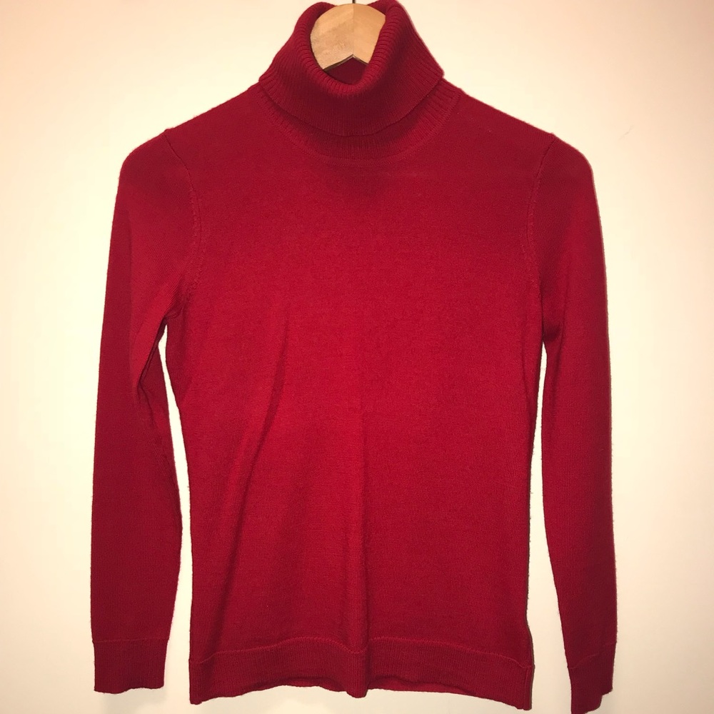 Ellen Tracy Extra-Fine Merino Wool Turtleneck